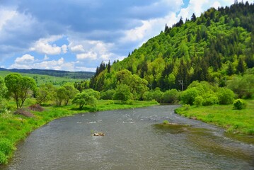 Mures River flowing through the green hills in the springtime of the Carpathian Mountains in...