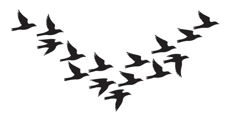 Fototapeta premium Silhouette of birds