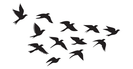 Fototapeta premium Silhouette of birds