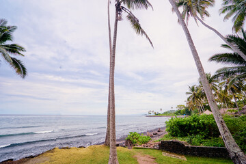 Tropical Oceanfront View with Palm Trees on A Clear Summer Day..
