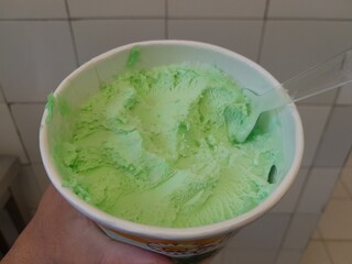 Coconut and pandan flavour delicious ice cream dessert. Buko pandan ice cream in Filipino style.