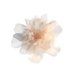 Fototapeta premium Delicate White Flower with Soft Petals Against a Clear Background on transparent background