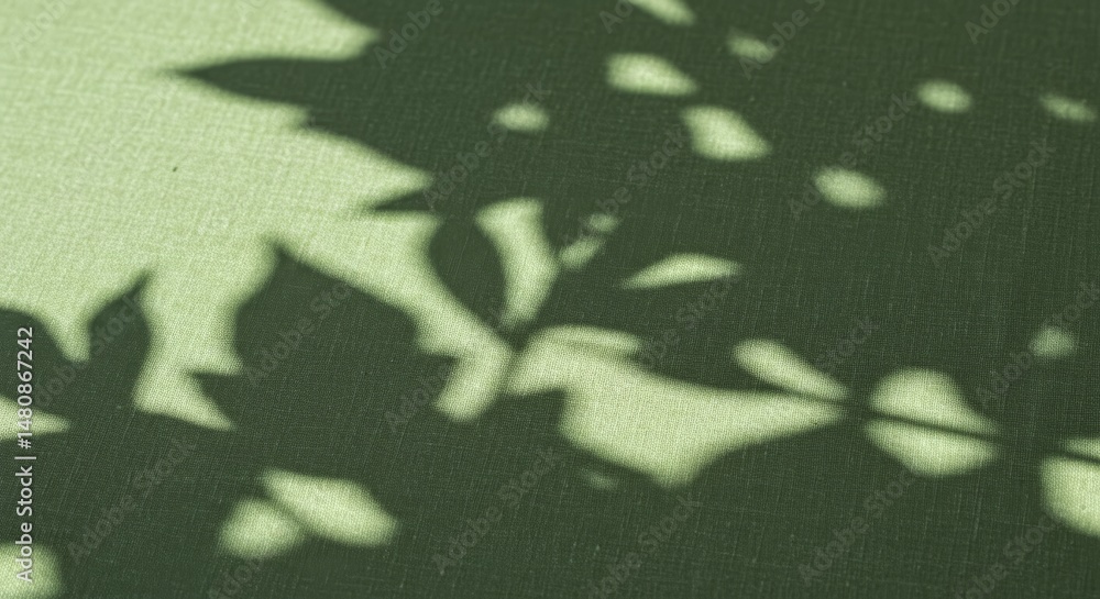 Poster serene leaf shadows on green surface - abstract of delicate leaf shadows cast on a muted green backg