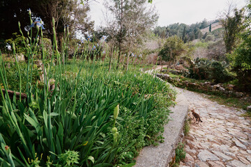 Scenic Garden Path With Lush Greenery and Blooming Flowers in Nature..
