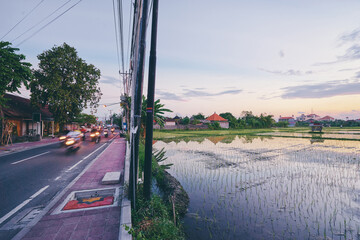 Busy Road Next to Scenic Rice Fields at Sunset in Bali