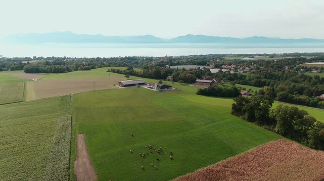 Drone Footage of Tractors Driving and Standing on Farmland &ndash; Aerial View of Agricultural Machinery in Action