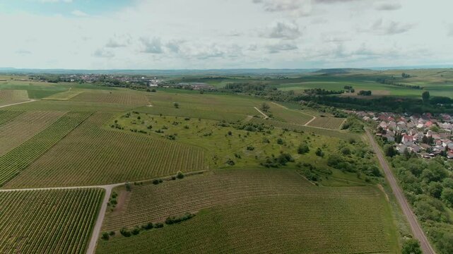 Drone Footage of Vast Vineyards &ndash; Aerial Views of Wine Fields in Rural Europe