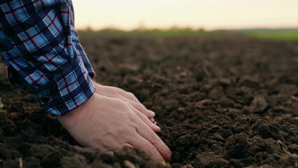 Male hands hold fertile land in field. Organic soil in hands of farmer at sunset in field, natural...
