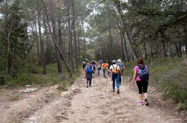 Group of hikers hiking in a nature trail. People trekking outdoors. Active healthy lifestyle