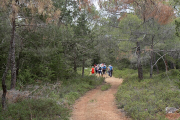 Obraz premium Group of hikers hiking in a nature trail. People trekking outdoors. Active healthy lifestyle