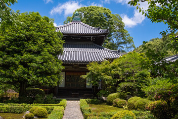 日本、京都、庭園、木造建築、古代建築、日本文化、歷史名勝、綠色、風景、青空、夏、写真素材