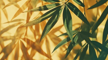 Green leaf sunlight shadow background texture design nature botanical