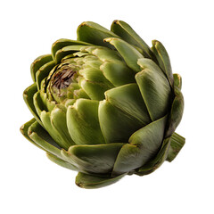Fototapeta premium Fresh Artichoke A Culinary Delight - Vibrant Green Vegetable