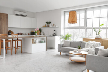 Interior of light studio apartment with sofas, tables and kitchen counters