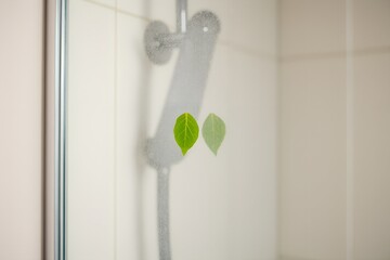 Showerhead with green leaves on glass surface in modern bathroom  
