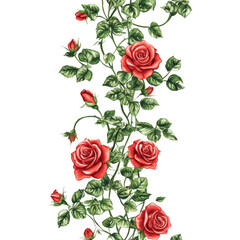 Red roses and leaves illustration isolated on transparent background