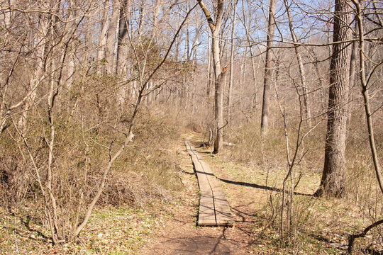 A rustic wooden boardwalk winds through a sun-dappled forest in early spring. Bare trees cast long shadows on the path and surrounding foliage. Nature trail.