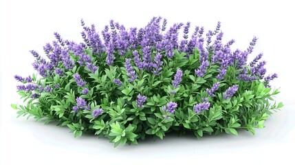 Fototapeta premium Vibrant Lavender Field Close-Up: Purple Flowers Blooming in Sunny Rural Landscape, Natural Beauty, Agricultural Scene