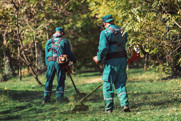 Landscape workers maintain greenery with trimmers in a park during a sunny afternoon