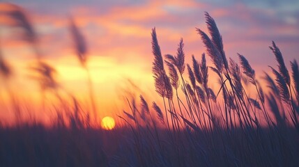Wind farm at sunrise with tall grasses, in the context of renewable landscape energy, soft orange-pink skies, silhouettes of turbines, early golden light