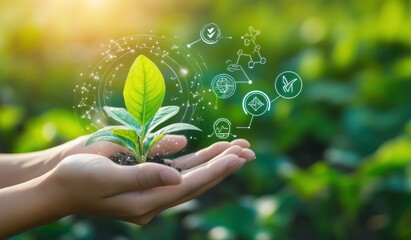 Hands holding a young plant, surrounded by abstract graphic elements symbolizing sustainable growth