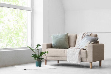 Sofa and houseplant near window in living room