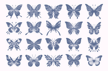 butterfly wings vector, Collection of Beautiful Magical Butterfly Wings Vector Illustration