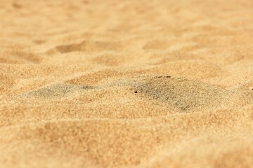 Sand of a beach detail