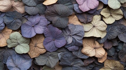 A vibrant collection of dried hydrangea petals in various shades of green. purple. and brown. beautifully layered to create a textured background ideal for nature-themed projects