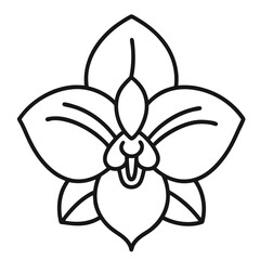 A simple line drawing of an orchid flower.