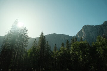 Scenery with granite cliffs, greenery, cascading waterfalls blue skies at Yosemite National Park in California’s Sierra Nevada mountains