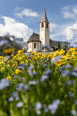 church in South Tyrol in spring in a field of flowers
