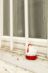 egg timer in the shape of a chicken in front of a window