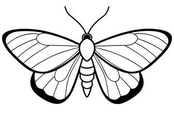 moth silhouette line art vector illustration with a white background