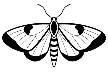 moth silhouette line art vector illustration with a white background