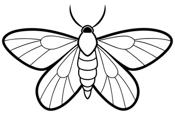moth silhouette line art vector illustration with a white background