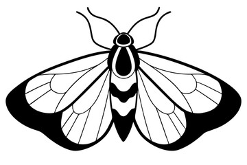moth silhouette line art vector illustration with a white background