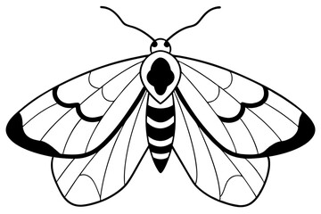 moth silhouette line art vector illustration with a white background