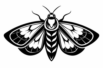 moth silhouette line art vector illustration with a white background