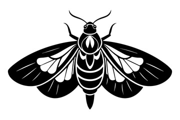 moth silhouette line art vector illustration with a white background