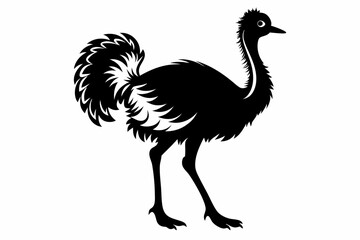 ostrich silhouette line art vector illustration with a white background