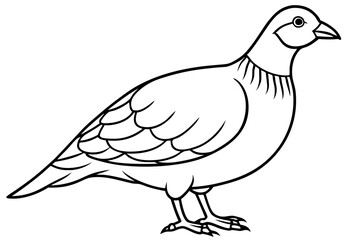 partridge silhouette line art vector illustration with a white background