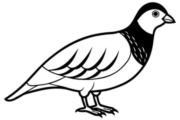 partridge silhouette line art vector illustration with a white background