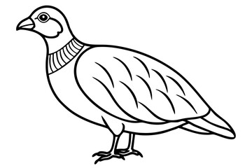 partridge silhouette line art vector illustration with a white background