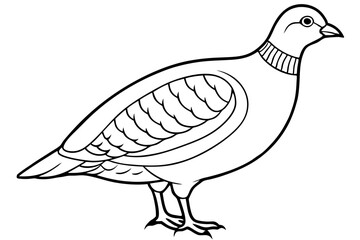 partridge silhouette line art vector illustration with a white background