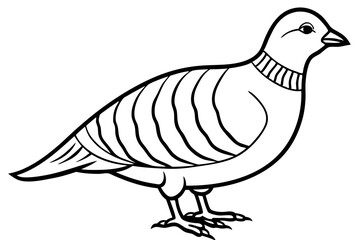 partridge silhouette line art vector illustration with a white background