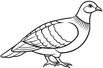 partridge silhouette line art vector illustration with a white background