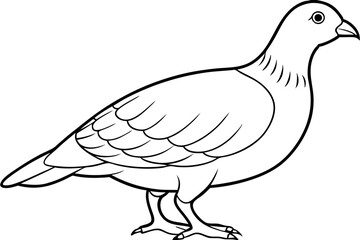 partridge silhouette line art vector illustration with a white background