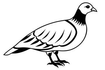 partridge silhouette line art vector illustration with a white background