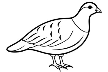 partridge silhouette line art vector illustration with a white background